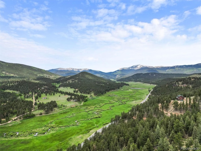 3763 County Road 43, Bailey, CO 80421 - view of mountain backdrop