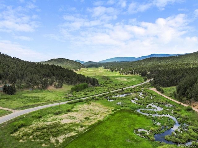 3763 County Road 43, Bailey, CO 80421 - mountain view with a heavily wooded area