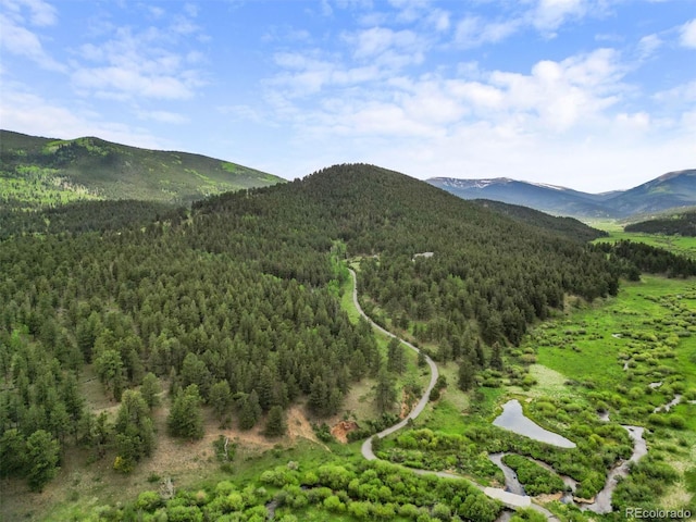 3763 County Road 43, Bailey, CO 80421 - view of mountain background featuring a heavily wooded area