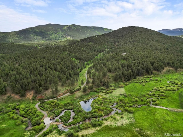 3763 County Road 43, Bailey, CO 80421 - view of mountain backdrop with a forest