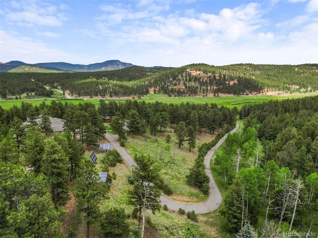3763 County Road 43, Bailey, CO 80421 - view of mountain backdrop with a heavily wooded area