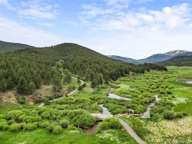 3763 County Road 43, Bailey, CO 80421 - view of mountain backdrop with a heavily wooded area
