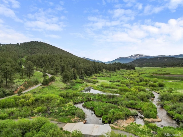 3763 County Road 43, Bailey, CO 80421 - view of mountain backdrop with a forest