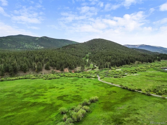 3763 County Road 43, Bailey, CO 80421 - view of mountain background featuring a forest