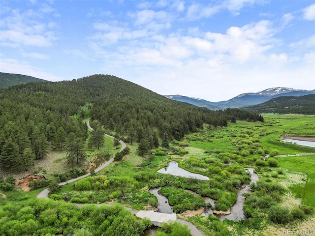 3763 County Road 43, Bailey, CO 80421 - view of mountain background featuring a heavily wooded area and a large body of water
