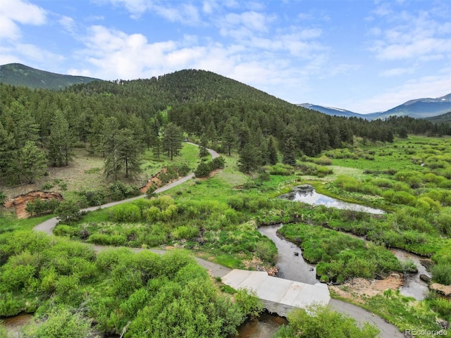 3763 County Road 43, Bailey, CO 80421 - view of mountain backdrop with a heavily wooded area