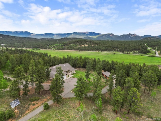 3763 County Road 43, Bailey, CO 80421 - photo 19