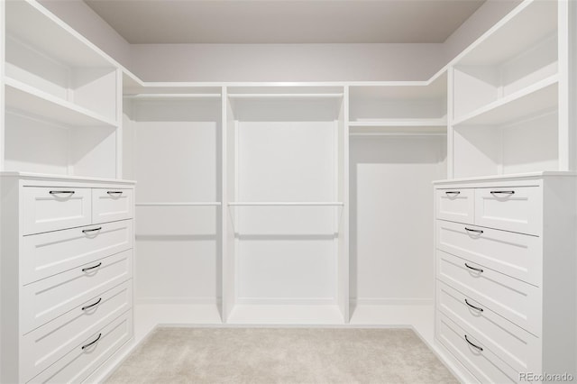 7202 S Valleyhead Ct, Aurora, CO 80016 - spacious closet featuring light carpet