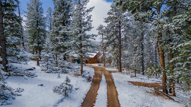 view of snowy yard