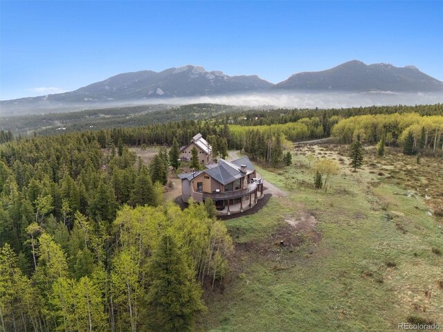 1460 Karlann Dr, Black Hawk, CO 80422 - photo 2