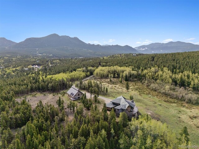 1460 Karlann Dr, Black Hawk, CO 80422 - photo 3
