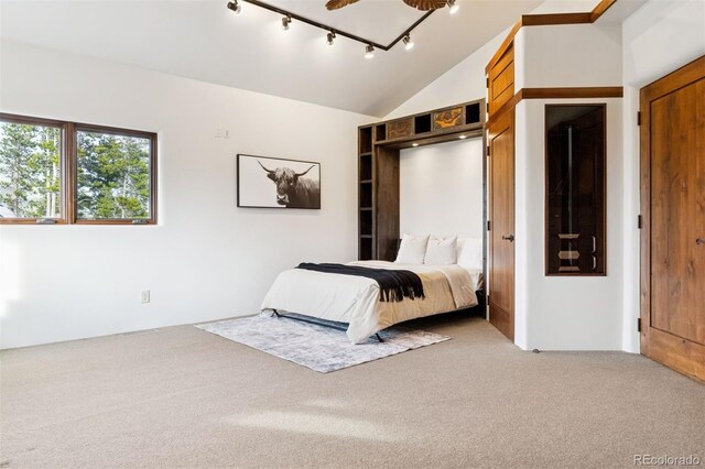 1460 Karlann Dr, Black Hawk, CO 80422 - photo 32