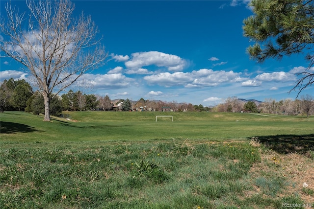 8775 W Berry Ave Unit 101, Littleton, CO 80123 - view of yard