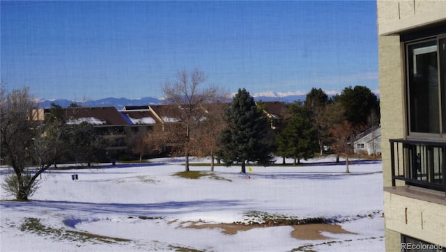 view of snowy yard