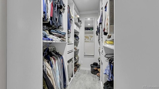12020 W Alabama Pl, Lakewood, CO 80228 - view of spacious closet