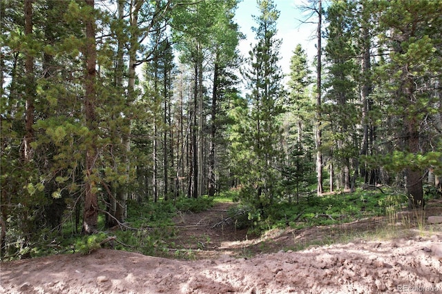 3375 Purnell Ln, Fort Garland, CO 81133