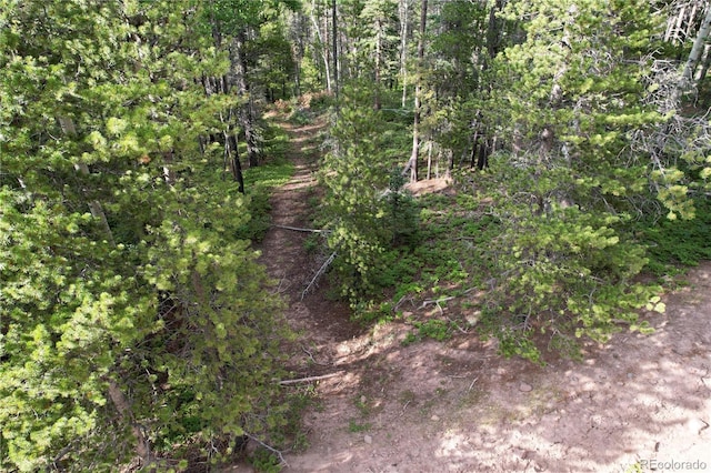 3375 Purnell Ln, Fort Garland, CO 81133