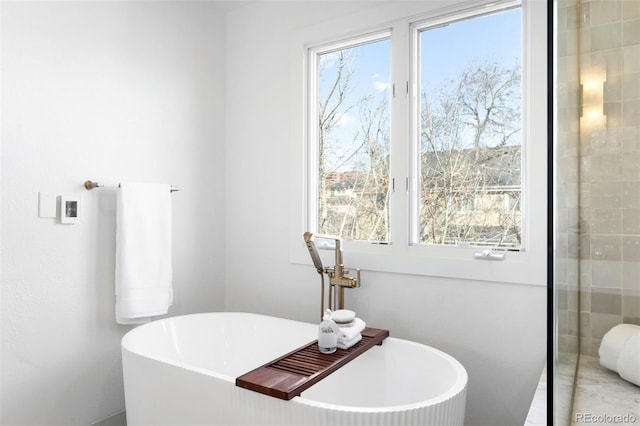 full bathroom with a freestanding tub and plenty of natural light