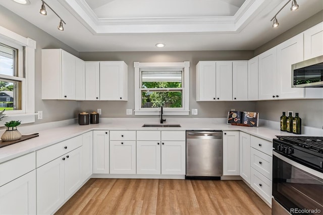 1895 S Emerson St, Denver, CO 80210 - kitchen featuring appliances with stainless steel finishes, ornamental molding, a raised ceiling, light countertops, and rail lighting