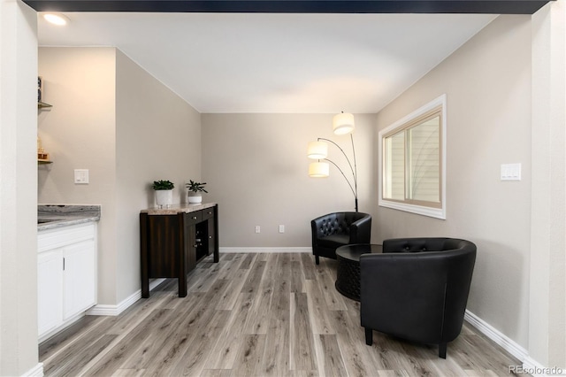 living area featuring light hardwood / wood-style floors