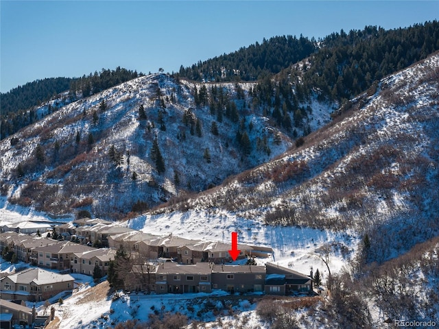 exterior space featuring a mountain view