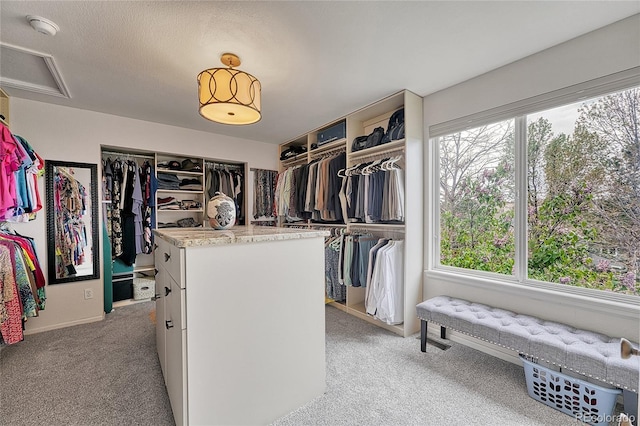 spacious closet featuring attic access and light carpet