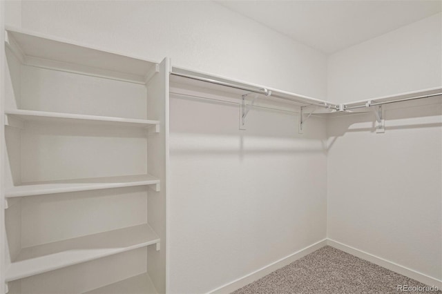 spacious closet featuring carpet floors