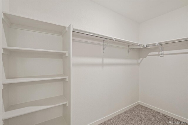 15963 Syracuse St, Thornton, CO 80602 - walk in closet featuring carpet floors