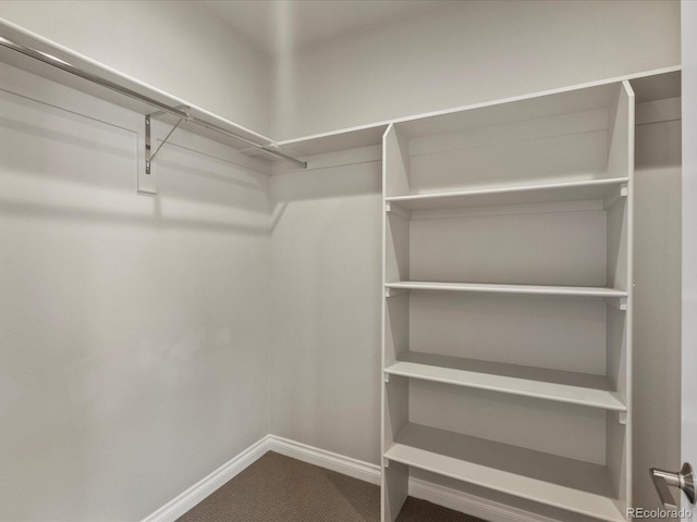 1819 Gaylord St, Denver, CO 80206 - walk in closet with carpet