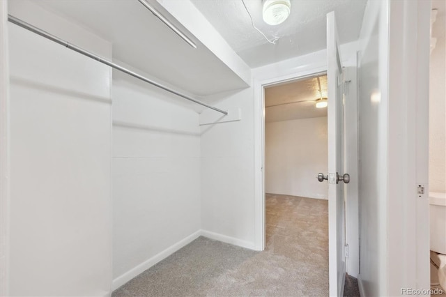 spacious closet with light colored carpet