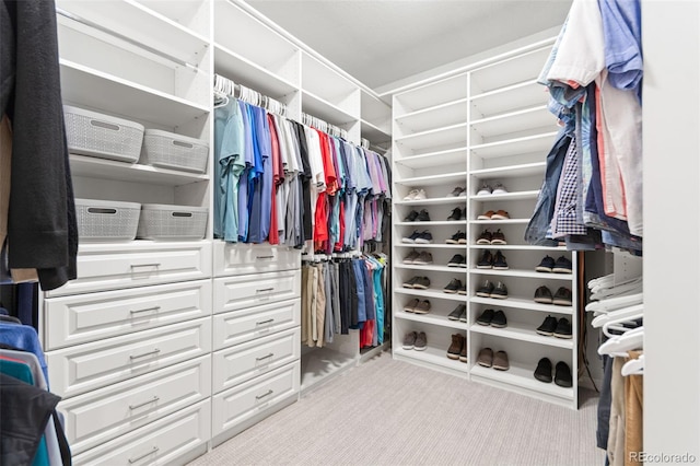 18922 W 84th Ave, Arvada, CO 80007 - walk in closet featuring carpet flooring