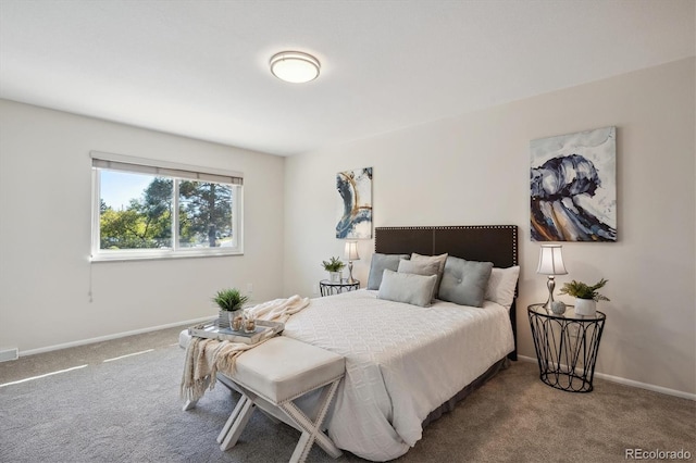 bedroom featuring carpet