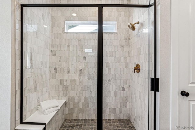 17146 W 92nd Loop, Arvada, CO 80007 - full bath featuring a shower stall