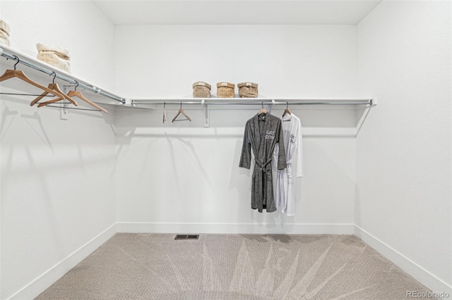 17146 W 92nd Loop, Arvada, CO 80007 - walk in closet with carpet floors