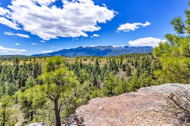 8188 Lone Bison Rd, Rye, CO 81069 - photo 43