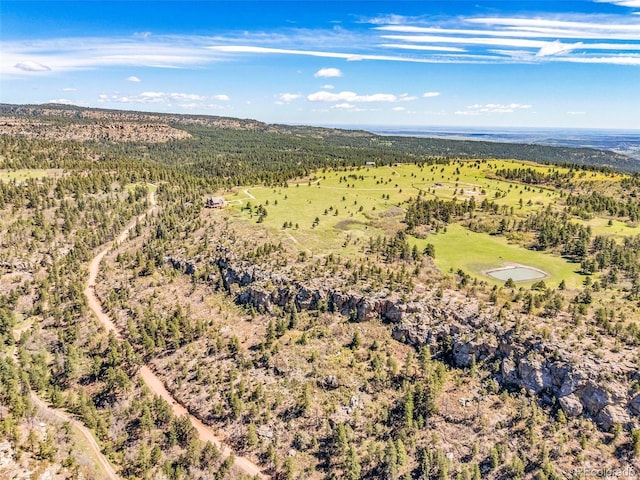 8188 Lone Bison Rd, Rye, CO 81069 - photo 49