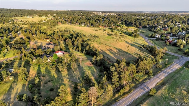 6685 Chalet Cir, Parker, CO 80134 - photo 46