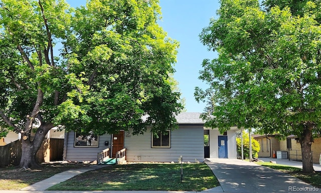 5567 E Asbury Ave, Denver, CO 80222 - view of property hidden behind natural elements featuring entry steps and driveway