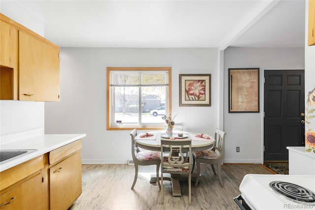5567 E Asbury Ave, Denver, CO 80222 - dining room with light wood-style flooring and baseboards