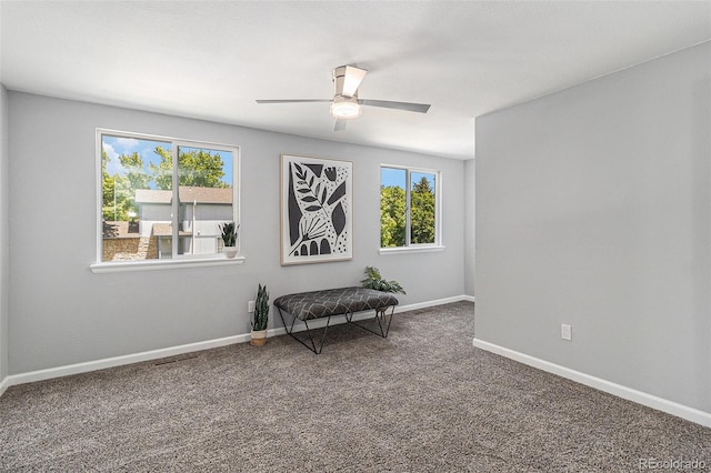 8065 Clay St, Westminster, CO 80031 - photo 18