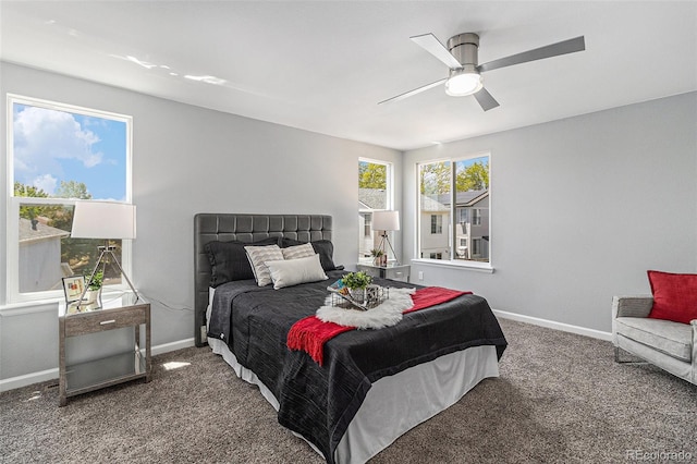 8065 Clay St, Westminster, CO 80031 - photo 19
