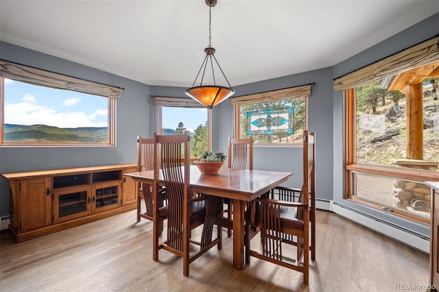 dining space with a healthy amount of sunlight, a baseboard radiator, and light wood finished floors