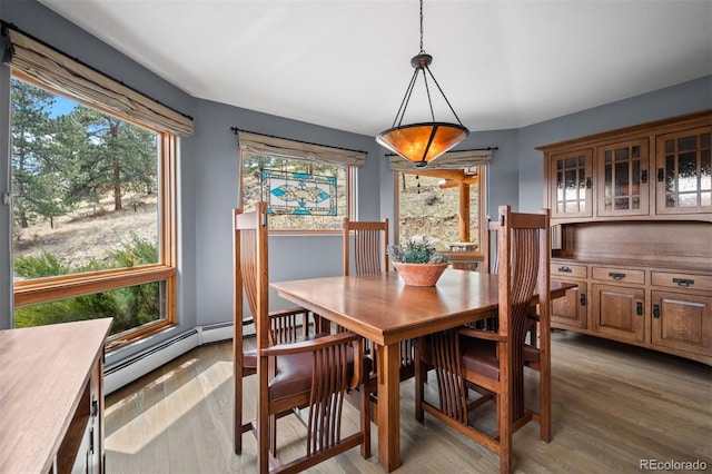 dining space featuring plenty of natural light, light wood-style floors, and a baseboard heating unit