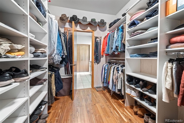 spacious closet featuring wood-type flooring