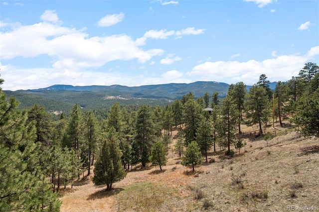 view of mountain feature featuring a forest view