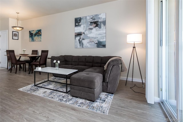 living room featuring hardwood / wood-style flooring