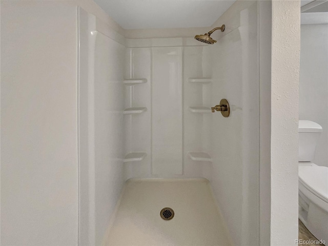 438 S 7th Ave, Brighton, CO 80601 - full bathroom featuring toilet and a shower