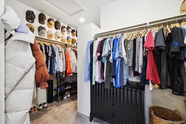 walk in closet featuring attic access and carpet flooring