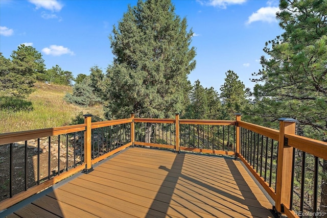 186 Bunny Rd, Bailey, CO 80421 - photo 24