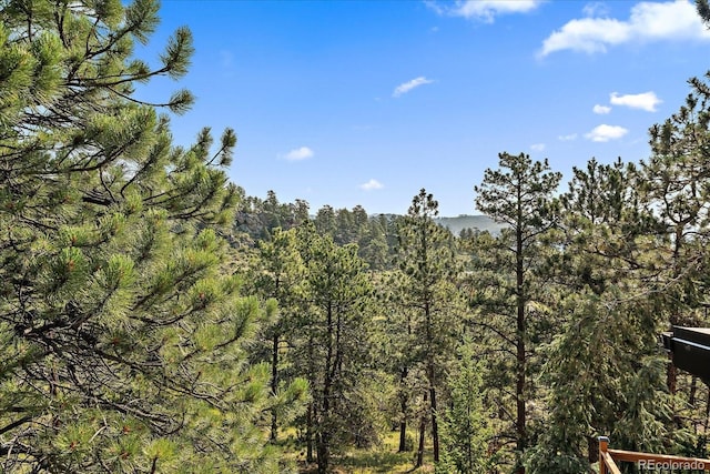 186 Bunny Rd, Bailey, CO 80421 - photo 25